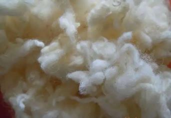 Fleece Fabrics